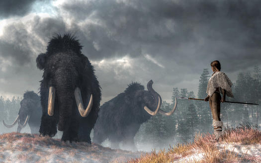 inbreeding didn't kill woolly mammoths 4,000 years ago – something else did
