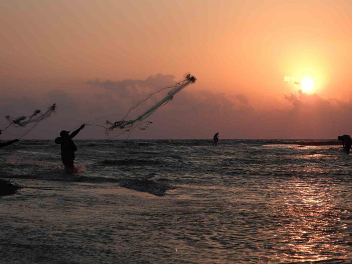 balıkçıların gün batımında balık mesaisi