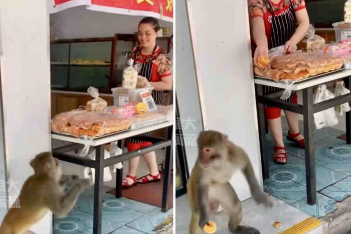 video: kleptomane aper terroriserer region i sørvest-kina