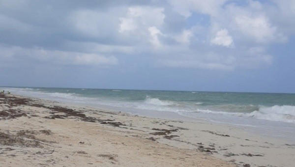 restringen la navegación por efectos de onda tropical en cancún