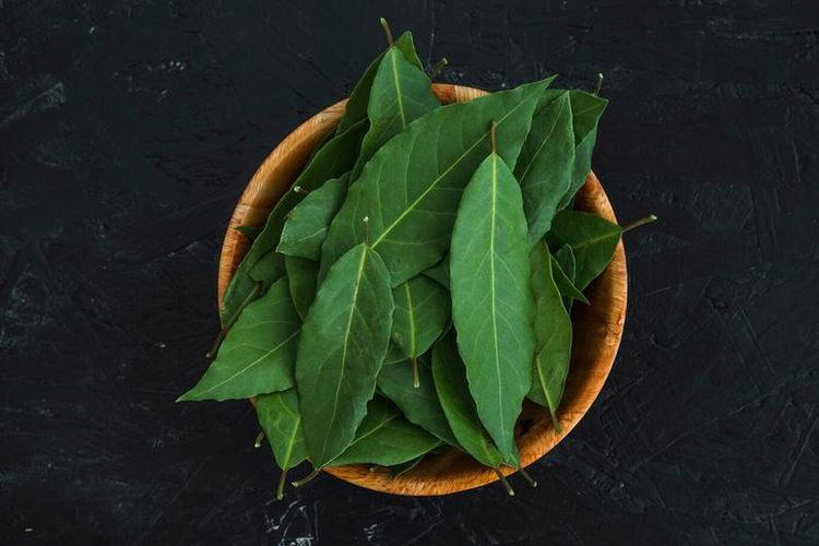 7 manfaat air rebusan daun salam untuk kesehatan, seampuh ini atasi masalah pernapasan hingga nyeri sendi