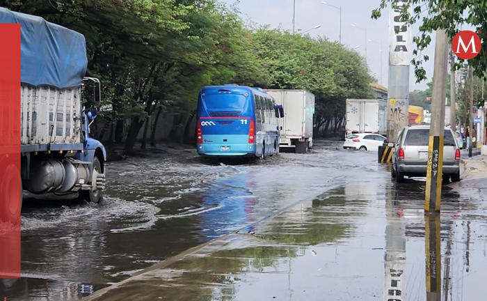 lluvias generan inundaciones, autos varados y caída de árboles en guadalajara y tlaquepaque