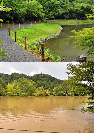 いわき・白水阿弥陀堂庭園、7月2日公開 浸水被害の復旧完了で
