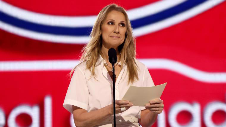 why is celine dion at the nhl draft? canadian singer makes surprise appearance to announce ivan demidov pick
