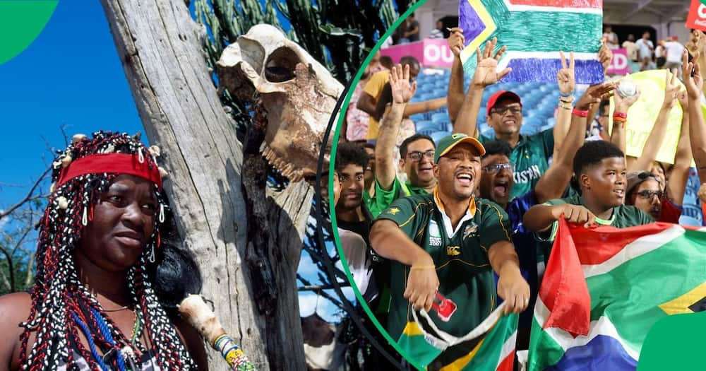 sa for the victory against india in t20 cricket world cup final