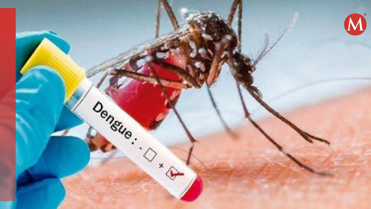 prevé salud más casos de dengue en tamaulipas por la lluvia