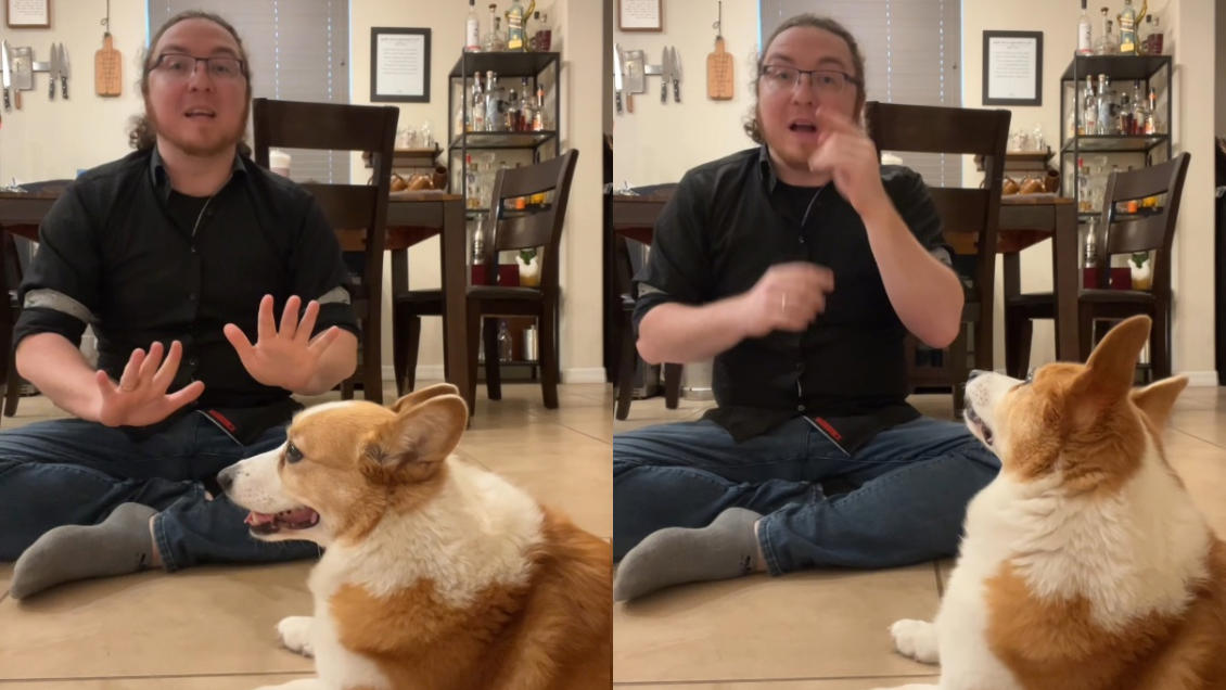 tierno perrita aprendió lengua de señas al ver a su dueña con discapacidad auditiva