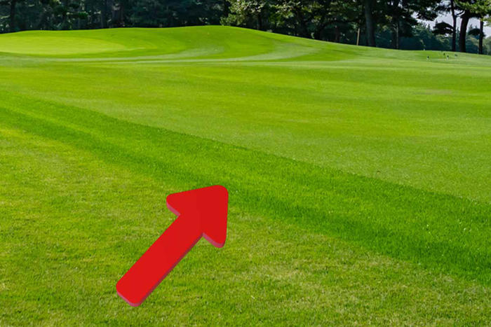 フェアウェイでもラフでもない中途半端な芝の長さが特徴の「セミラフ」 一体何のために作られたエリアなの？
