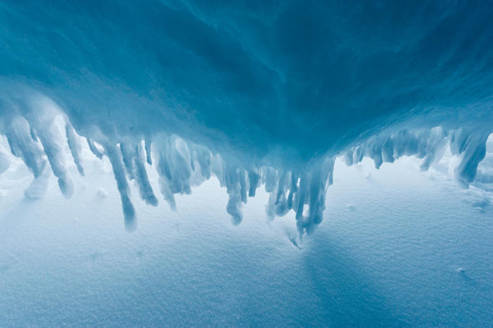 este es el impactante hallazgo que hicieron los científicos en la antártida: pone en alerta a todos