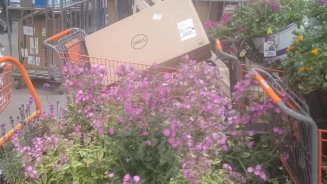 frustrated home depot employee shares photo of countless carts full of gardening products wasted for no good reason: 'not our call'