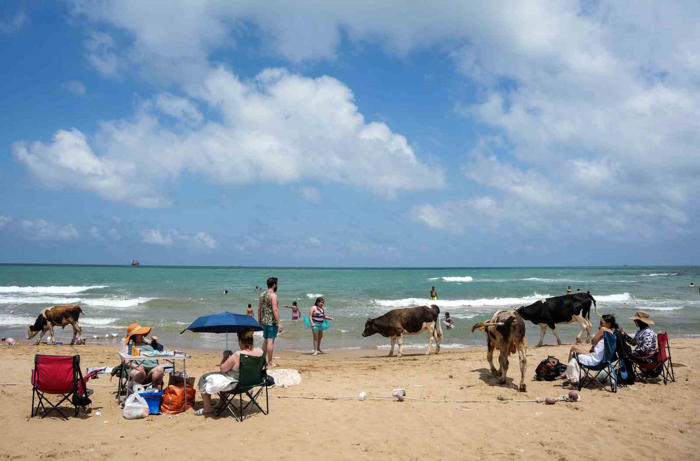 halk plajları doldu, ’beach’lerde şezlonglar boş kaldı