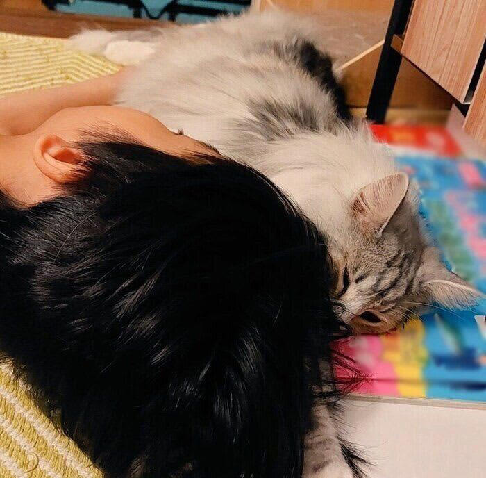 「おばけが怖いからリビングで寝る男の子」に添い寝する猫 普段は見せない行動に思わずほっこり！