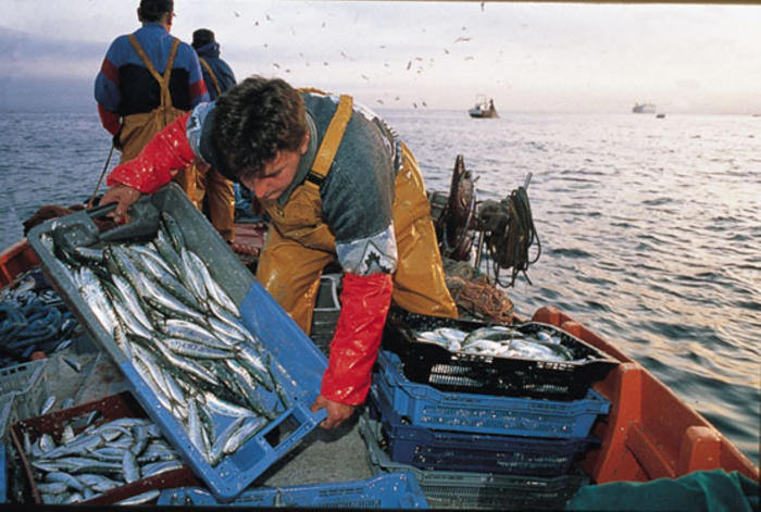 en el día del pescador, las 5 millas del mar de grau siguen sin ser reglamentadas