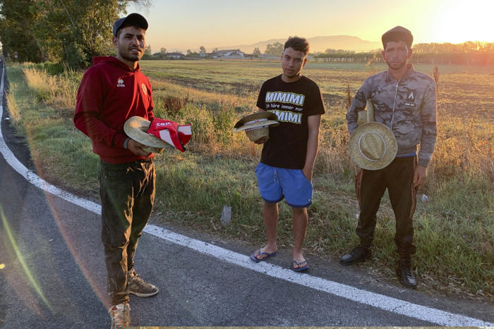 los migrantes, mano de obra barata para trabajar los campos en el sur de roma