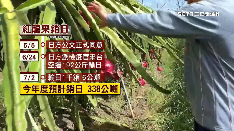 經8年努力！台灣水果外銷再突破 紅肉火龍果進軍日本