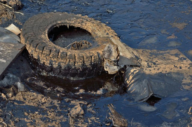 researchers issue warning after mass fish killings linked to toxic tire component: 'a chemical cocktail in these tires that … is kept highly confidential'