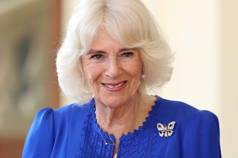 king charles' new portrait revealed as queen camilla pays tribute in rare address