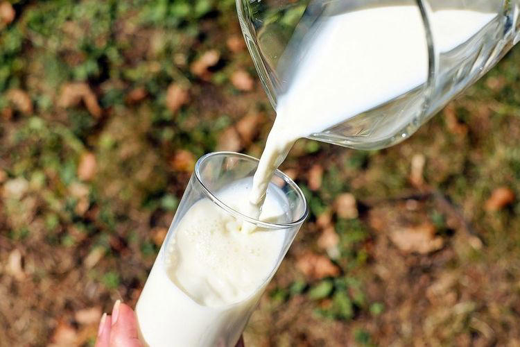7 kesalahan penyajian susu oat, jangan lagi dilakukan khasiatnya bisa hilang!
