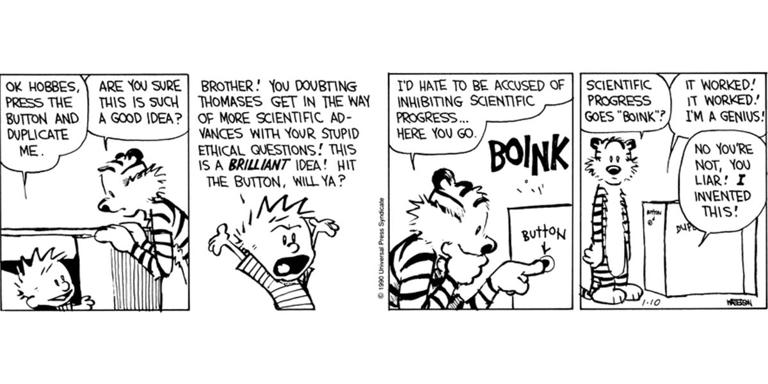 Calvin and Hobbes: What is the Noodle Incident?