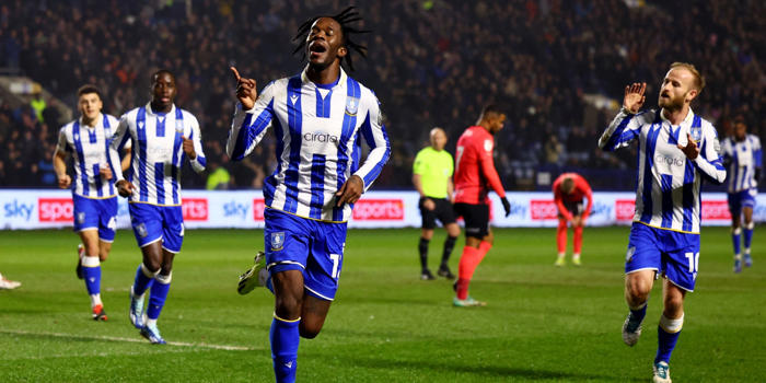 sheffield wednesday can forget ugbo by signing lethal striker