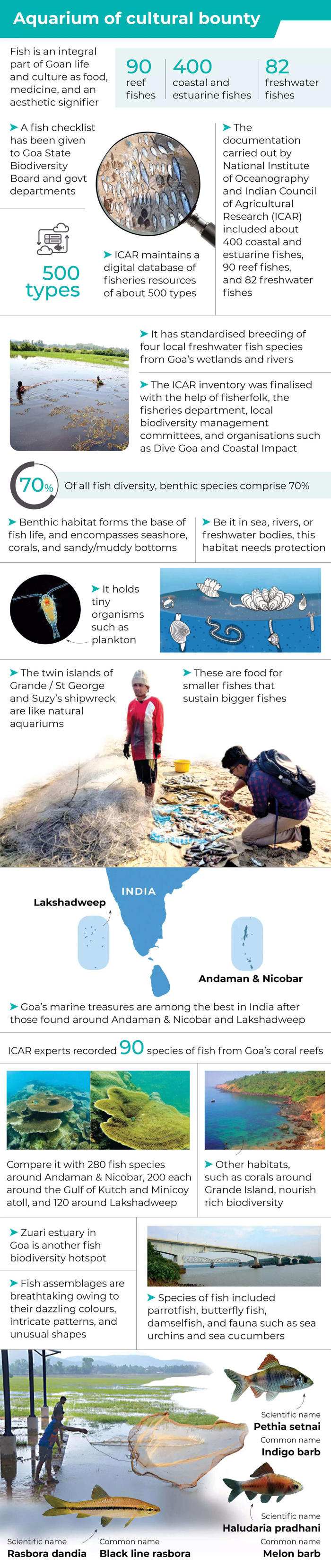 fishing out data on goa’s marine wealth