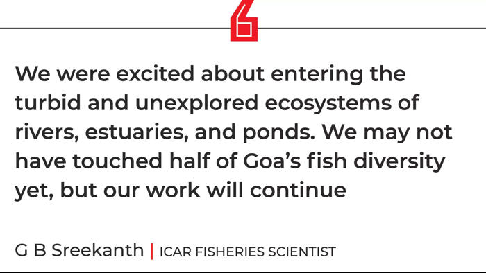 fishing out data on goa’s marine wealth
