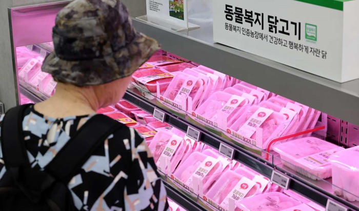 이마트·롯데마트·홈플러스… 이번 주말 놓치면 안 되는 '대형마트 할인전' 총정리