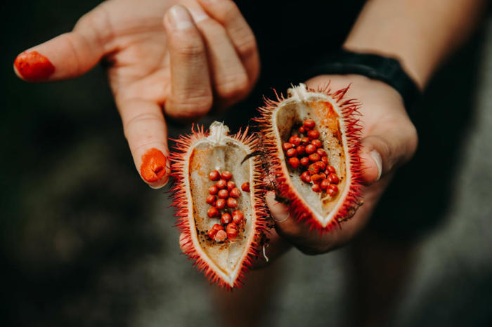 cette plante peut être une vraie alliée naturelle pour lutter contre les moustiques et le soleil