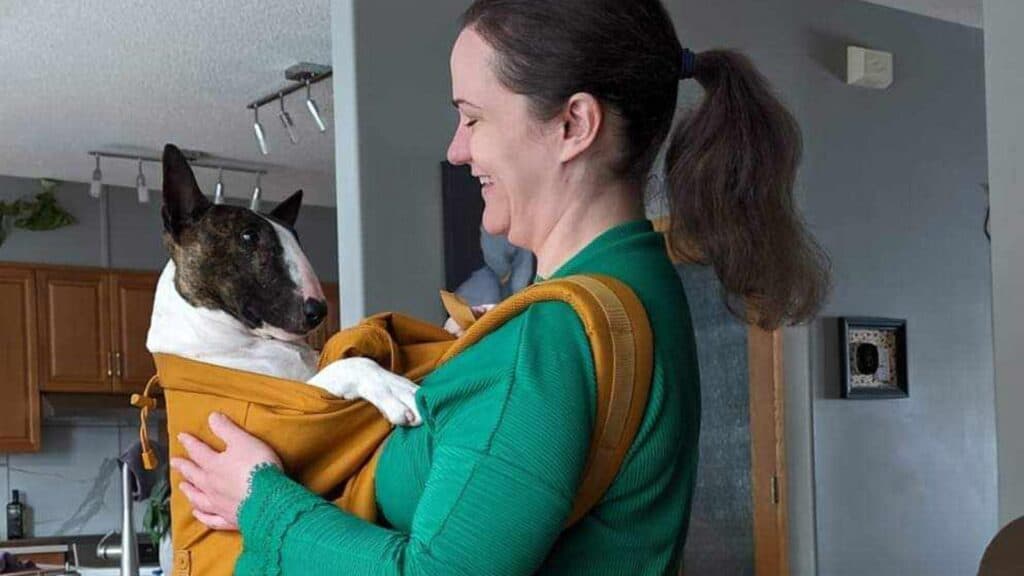 <p>Practice with your dog at home, so they are comfortable in a carrier before you head to the subway. Our friend Caitlin made sure that her miniature bull terrier, Beryl, was ready for her city adventure.</p>