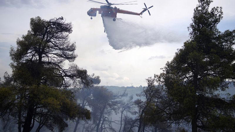 ελλάδα: πυρκαγιά στο κατσιμίδι πάρνηθας