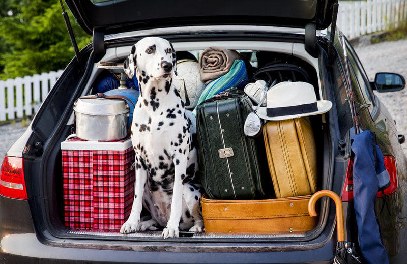 6 saker du måste ha i bilen på sommaren: 