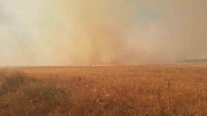çanakkale’de tarım arazisinde çıkan yangına müdahale sürüyor