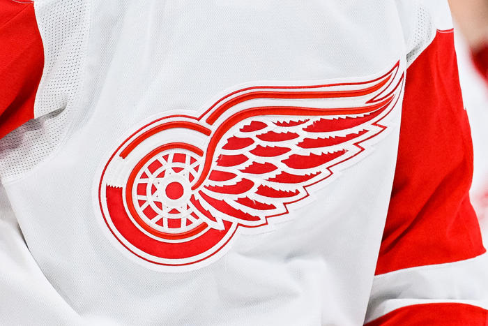 red wings four-time stanley cup winner marty pavelich dies