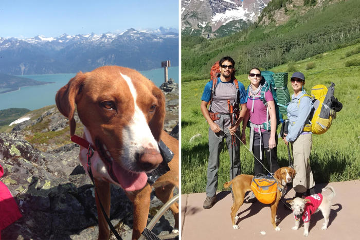 couple hiking in europe find starving dog, now lives best life in colorado