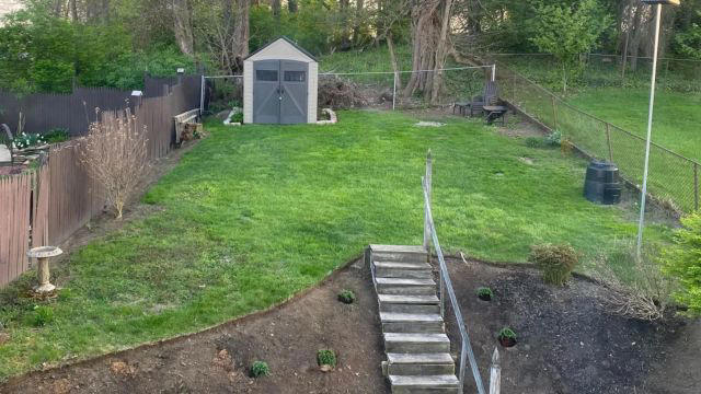 homeowner shares before-and-after photo after ditching barren lawn: 'this doesn't even look like the same property'