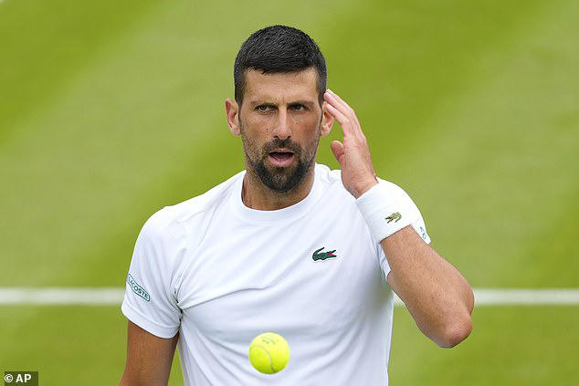 novak djokovic insists he can win an eighth wimbledon title as knee injury rehab has given him 'enough optimism to compete on the highest level' - while andy murray admits he's 'willing' to risk playing in his sw19 swansong