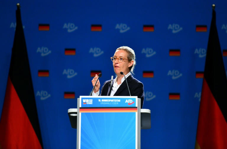 clashes erupt as far-right afd states aim to govern germany