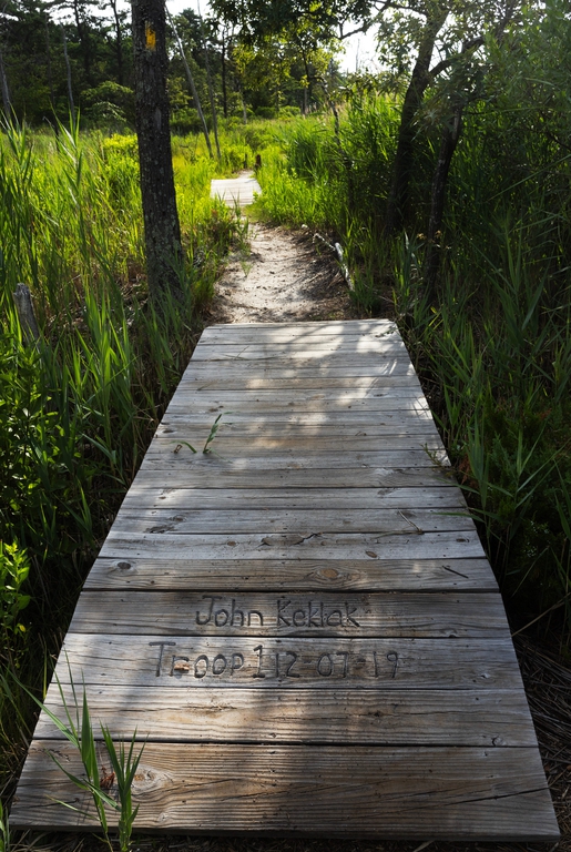 Summer’s heat descends on Cattus Island County Park