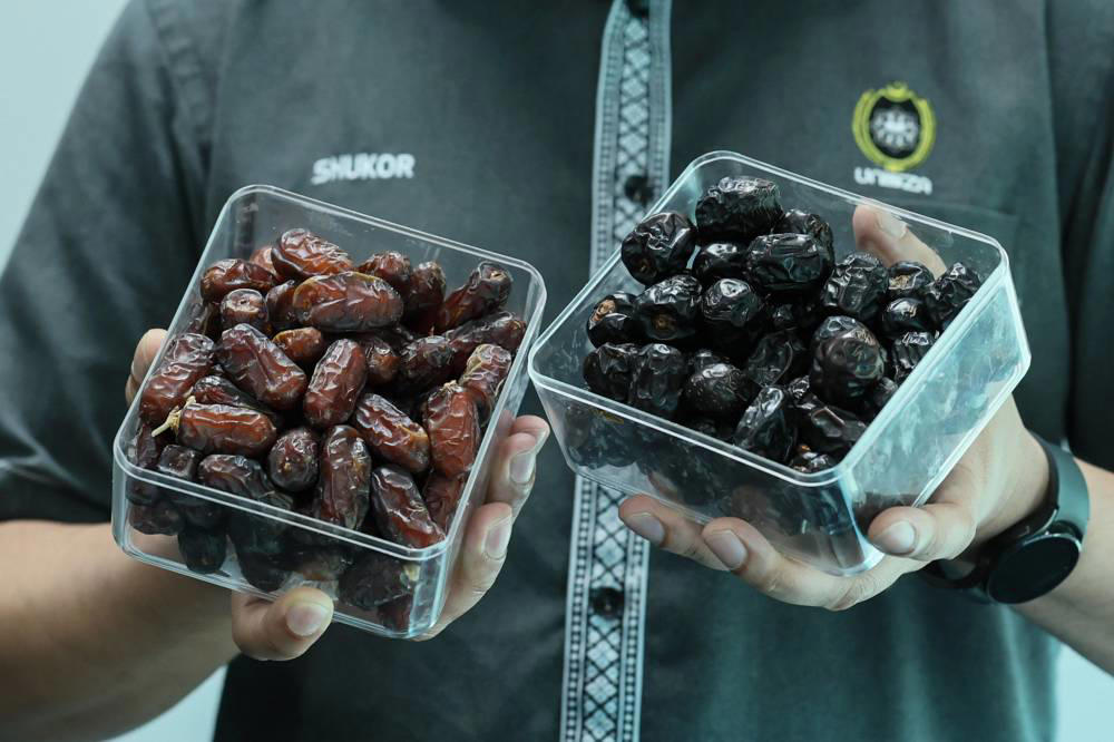 dates don't raise blood sugar! study shows they can aid diabetes treatment
