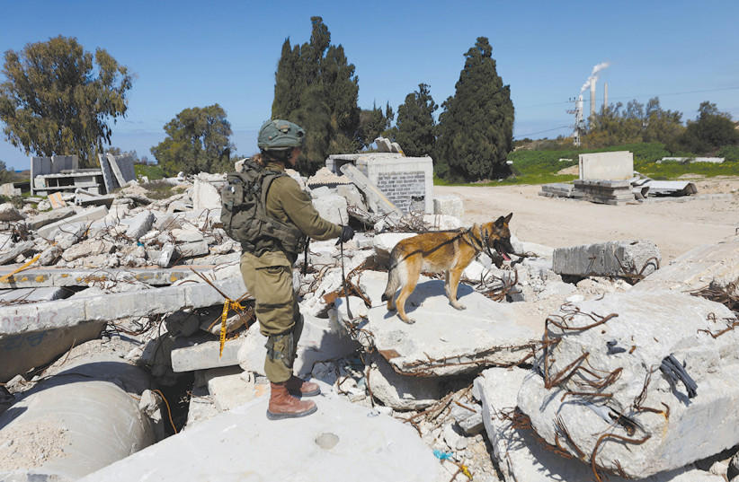 a soldier's loyal companion: the daring dogs of the idf's oketz unit