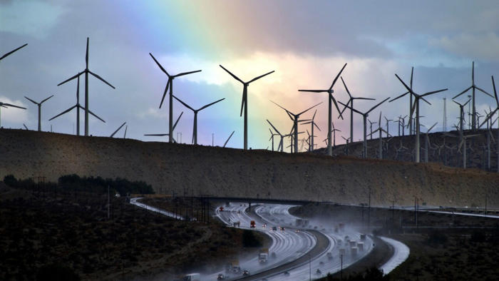 renewable energy companies are acting like ‘the wild, wild west’: judith sloan