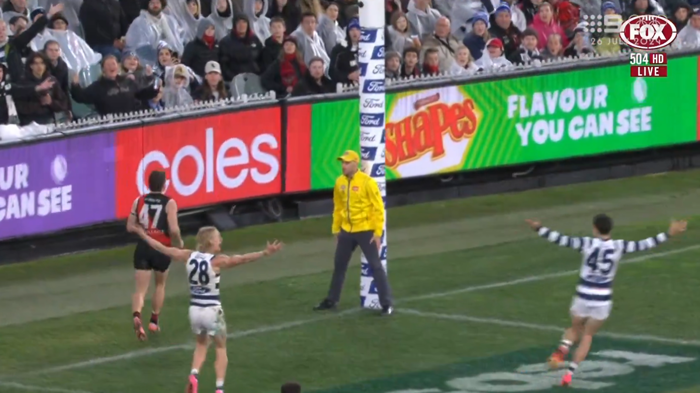 afl ceo claims umpiring 'as good as it's ever been'
