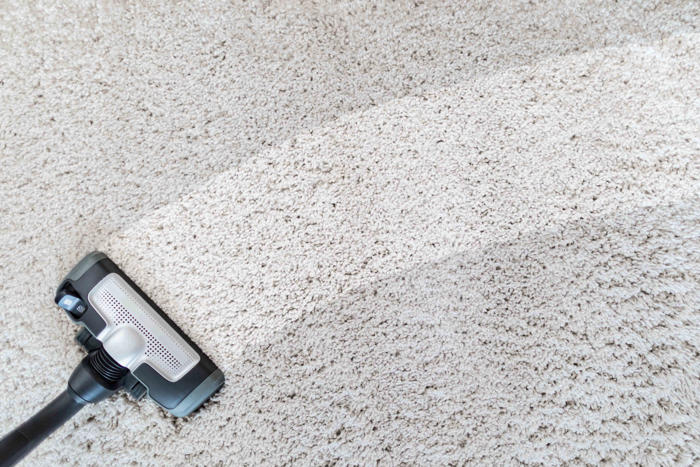 steam cleaner vs. carpet cleaner: which one should you choose?