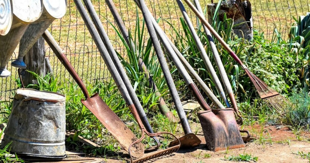 9 Reasons Why Your Houseplants Have Powdery Mildew On The Soil