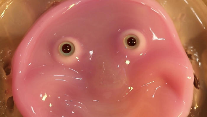 robots get a fleshy face (and a smile) in new research