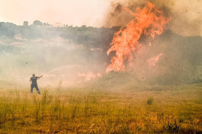 φωτιές στη λαμία και στην αυλίδα: μεγάλη κινητοποίηση της πυροσβεστικής