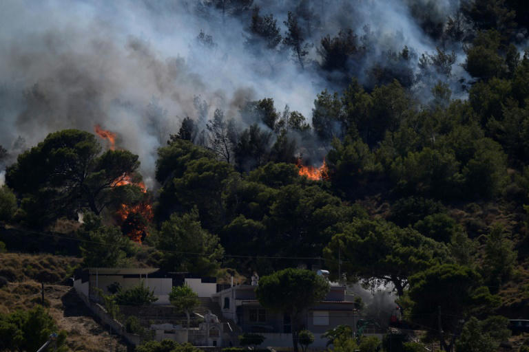 greece fights dozens of wildfires in 'most difficult day of year'