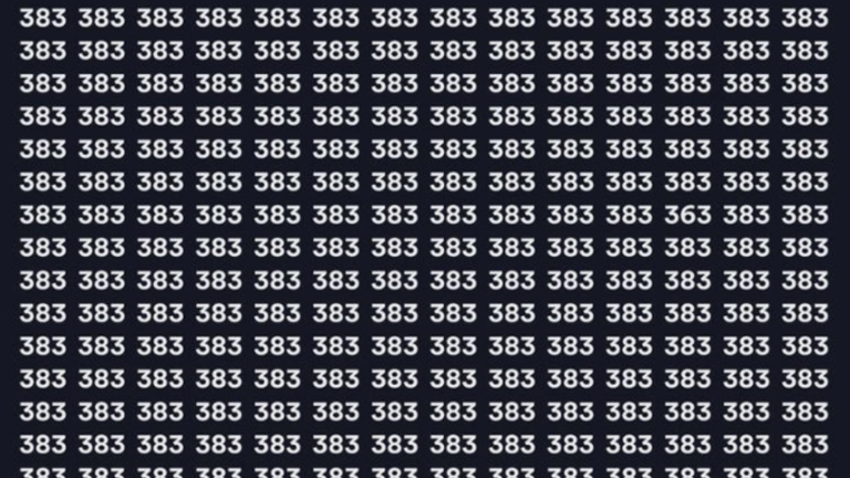 Brain teaser: Can you find 363 in this image