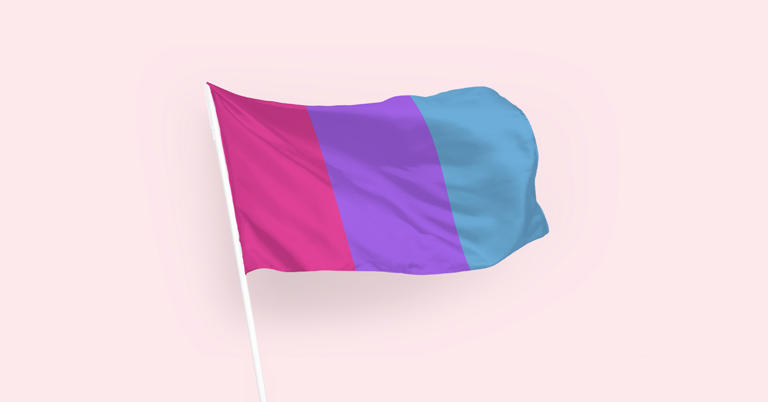 What Is the Androgyne Pride Flag & What Does It Mean?