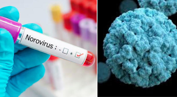novovirus, scatta l'allarme: gastroenterite per oltre 300 persone. «il contagio parte dai serbatoi»